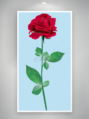 红玫瑰：热情，我爱你，热恋；奇迹与不可能实现的事