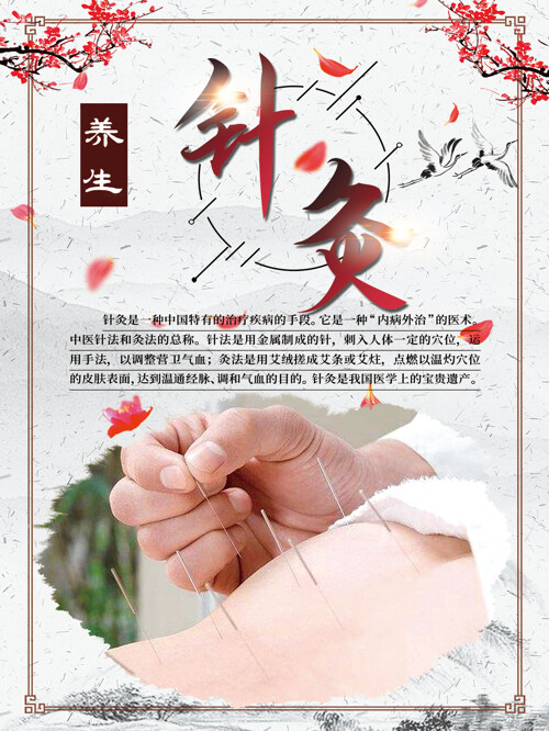 中国风针灸养生保健展板海报