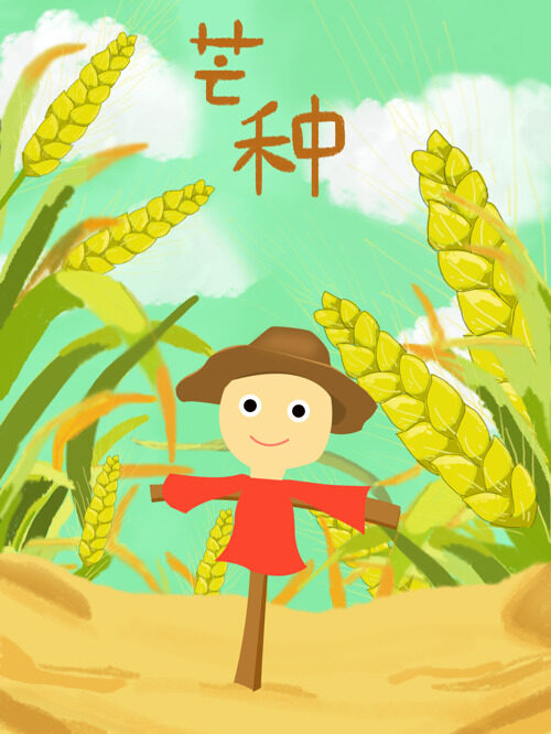 二十四节气—芒种稻草人手绘插画