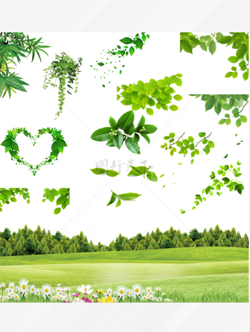 绿叶爱心环保树枝草插画图标图案