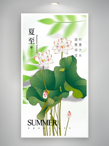 中国传统二十四节气夏至简约荷花海报