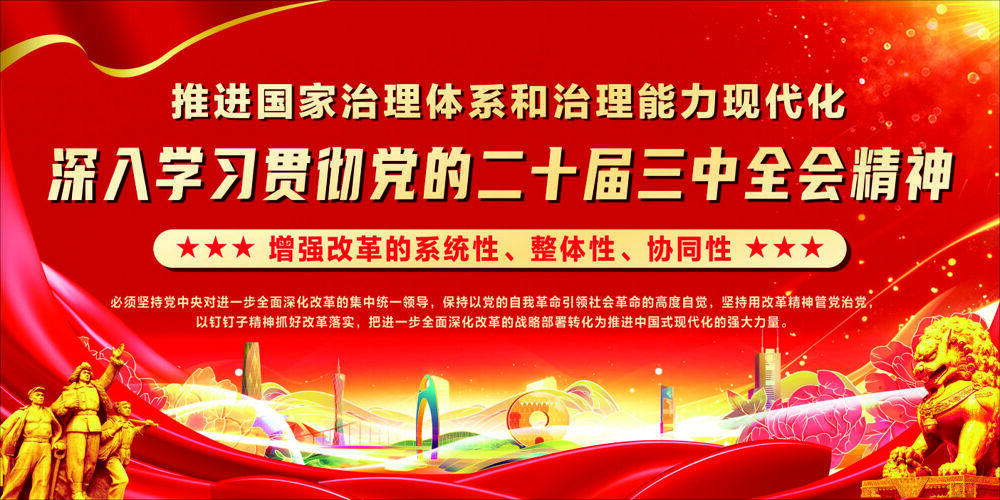 大气红色深入贯彻党的二十届三中全会精神党建展板