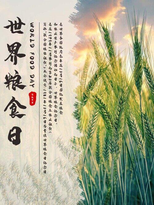 世界粮食日公益节日宣传简约创意海报