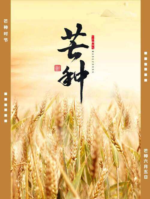  金色麦田棕色边框传统二十四节气芒种海报